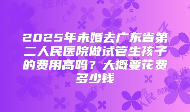 2025年未婚去广东省第二人民医院做试管生孩子的费用高吗？大概要花费多少钱