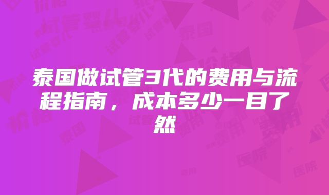 泰国做试管3代的费用与流程指南，成本多少一目了然