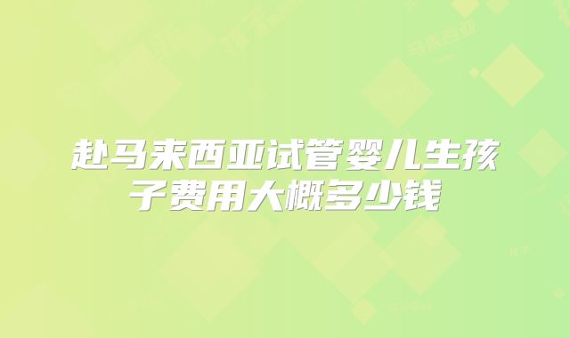 赴马来西亚试管婴儿生孩子费用大概多少钱
