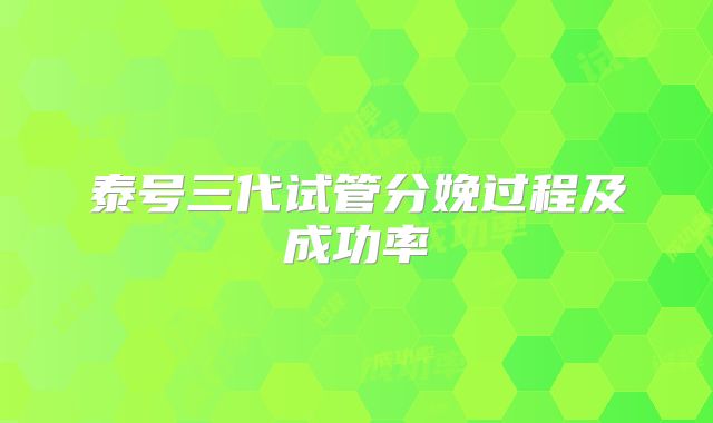 泰号三代试管分娩过程及成功率