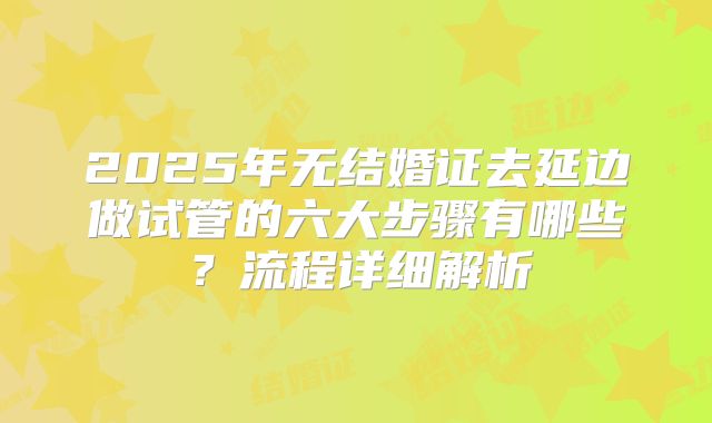2025年无结婚证去延边做试管的六大步骤有哪些?流程详细解析