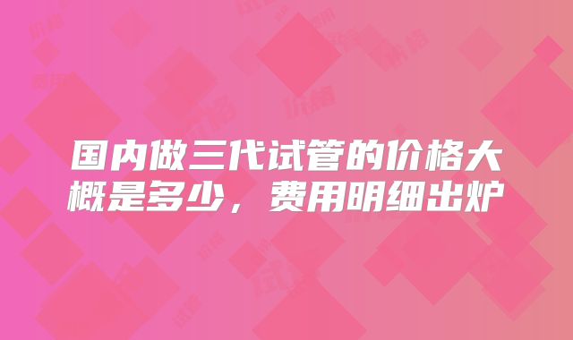国内做三代试管的价格大概是多少，费用明细出炉