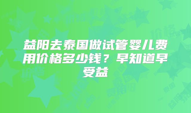 益阳去泰国做试管婴儿费用价格多少钱？早知道早受益