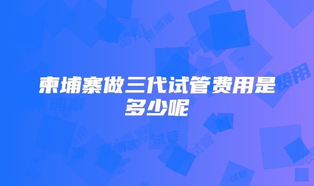 柬埔寨做三代试管费用是多少呢
