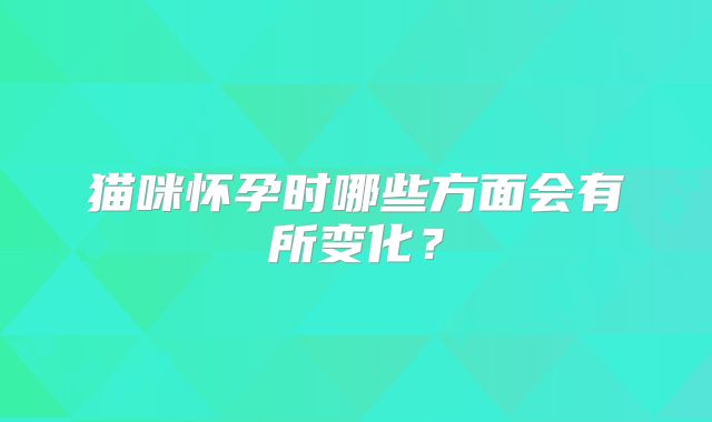 猫咪怀孕时哪些方面会有所变化？