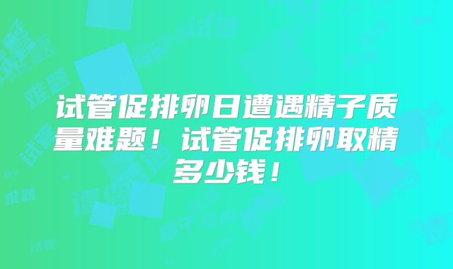 试管促排卵日遭遇精子质量难题！试管促排卵取精多少钱！
