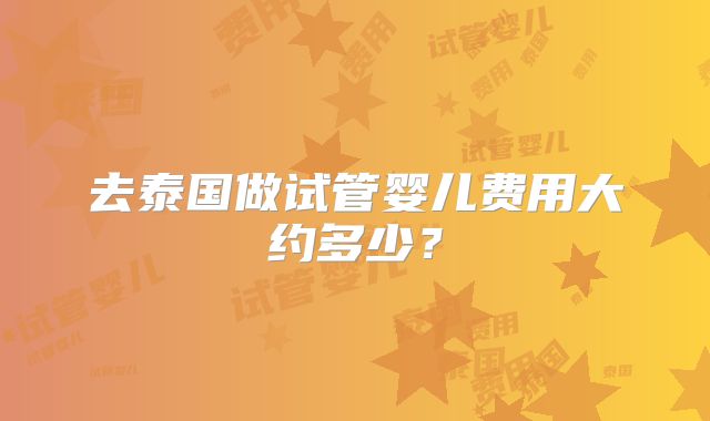 去泰国做试管婴儿费用大约多少？