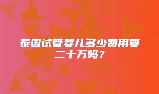 泰国试管婴儿多少费用要二十万吗？