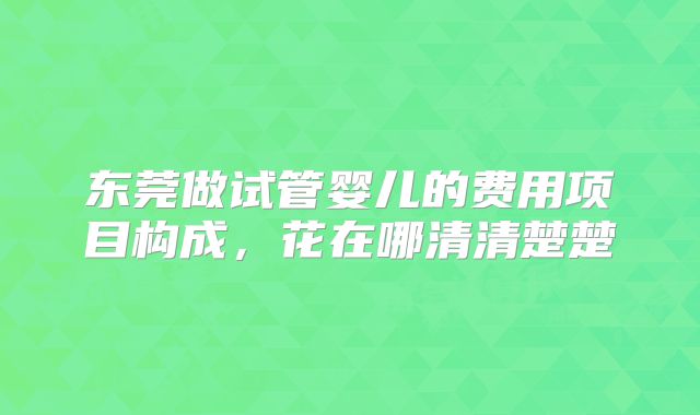 东莞做试管婴儿的费用项目构成,花在哪清清楚楚
