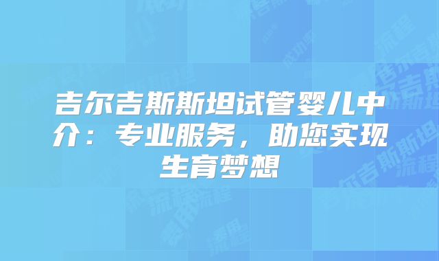 吉尔吉斯斯坦试管婴儿中介:专业服务,助您实现生育梦想
