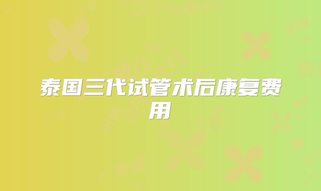 泰国三代试管术后康复费用