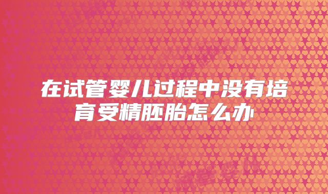 在试管婴儿过程中没有培育受精胚胎怎么办