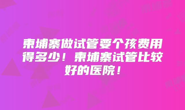 柬埔寨做试管要个孩费用得多少!柬埔寨试管比较好的医院!