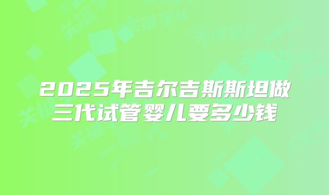 2025年吉尔吉斯斯坦做三代试管婴儿要多少钱