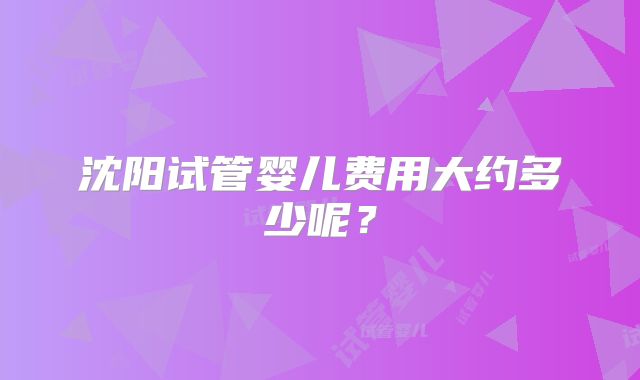沈阳试管婴儿费用大约多少呢？