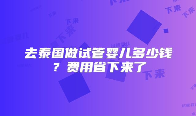 去泰国做试管婴儿多少钱？费用省下来了