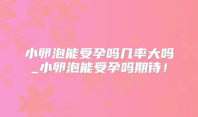 小卵泡能受孕吗几率大吗_小卵泡能受孕吗期待！
