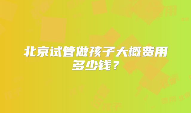 北京试管做孩子大概费用多少钱？