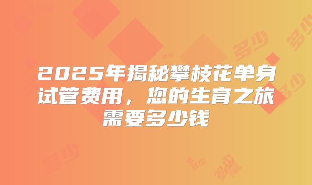 2025年揭秘攀枝花单身试管费用,您的生育之旅需要多少钱