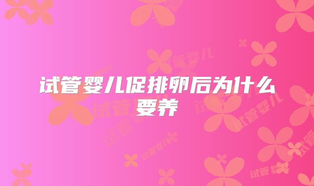 试管婴儿促排卵后为什么要养