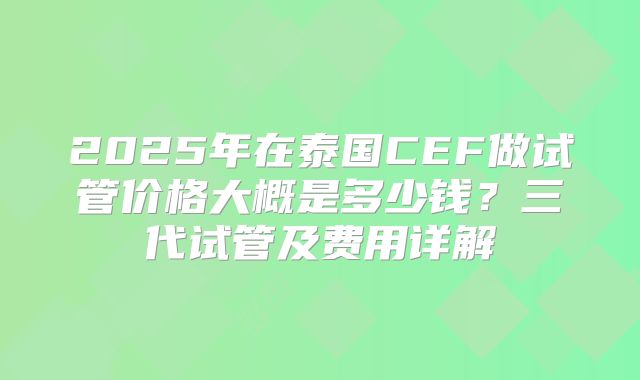 2025年在泰国CEF做试管价格大概是多少钱?三代试管及费用详解