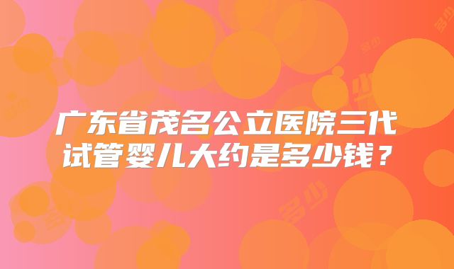 广东省茂名公立医院三代试管婴儿大约是多少钱？