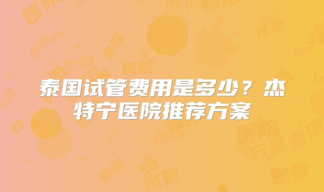 泰国试管费用是多少？杰特宁医院推荐方案