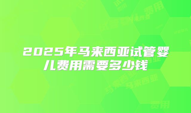 2025年马来西亚试管婴儿费用需要多少钱