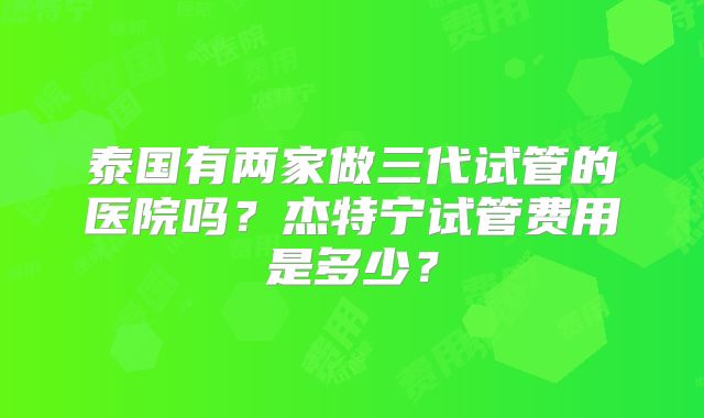 泰国有两家做三代试管的医院吗？杰特宁试管费用是多少？