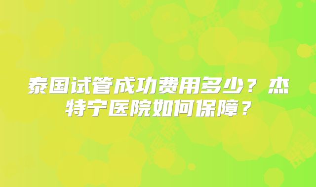 泰国试管成功费用多少？杰特宁医院如何保障？