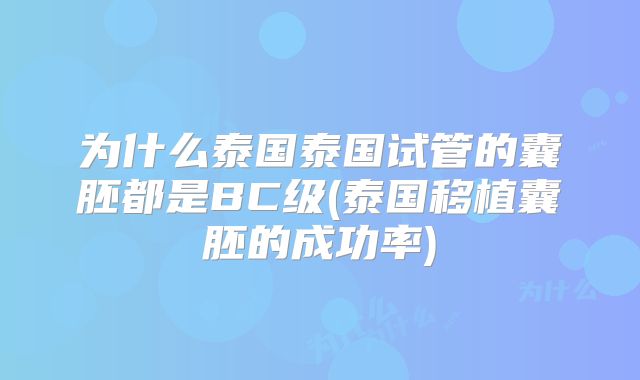 为什么泰国泰国试管的囊胚都是BC级(泰国移植囊胚的成功率)