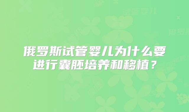 俄罗斯试管婴儿为什么要进行囊胚培养和移植？