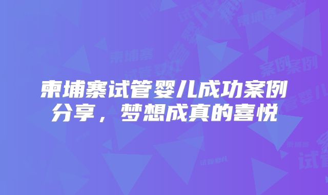 柬埔寨试管婴儿成功案例分享，梦想成真的喜悦