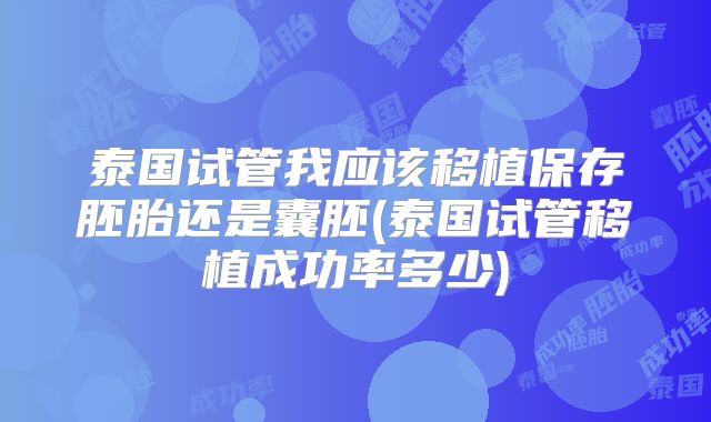 泰国试管我应该移植保存胚胎还是囊胚(泰国试管移植成功率多少)