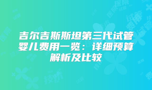 吉尔吉斯斯坦第三代试管婴儿费用一览:详细预算解析及比较