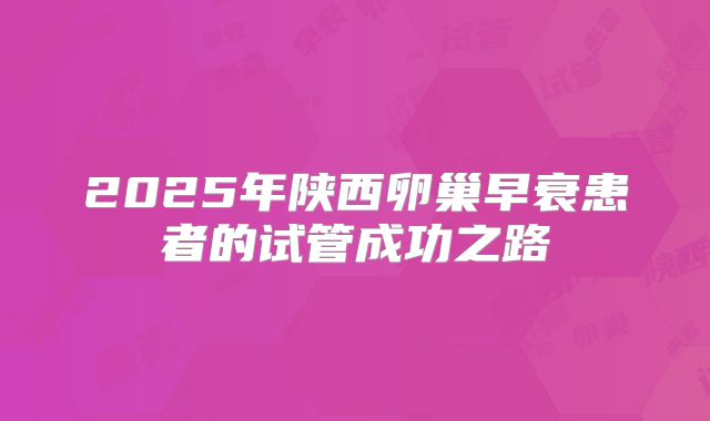 2025年陕西卵巢早衰患者的试管成功之路