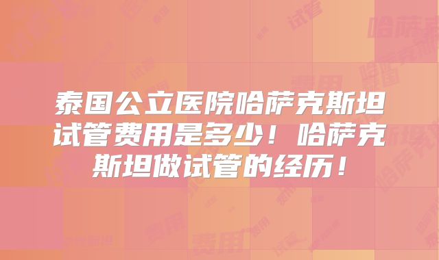 泰国公立医院哈萨克斯坦试管费用是多少！哈萨克斯坦做试管的经历！