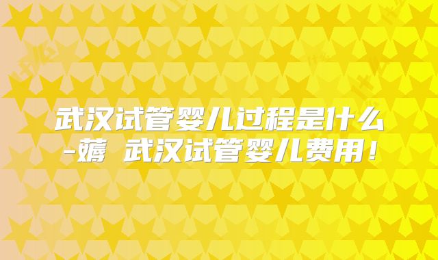 武汉试管婴儿过程是什么-薅慜武汉试管婴儿费用！