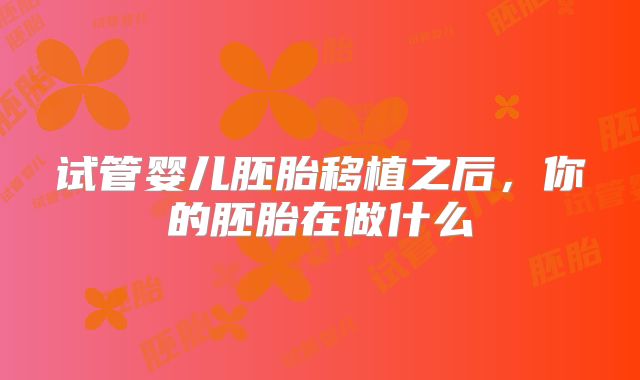 试管婴儿胚胎移植之后,你的胚胎在做什么