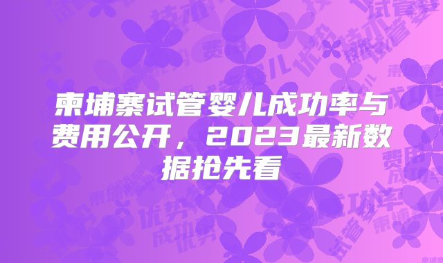 柬埔寨试管婴儿成功率与费用公开，2023最新数据抢先看