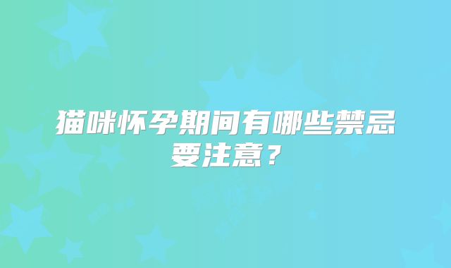 猫咪怀孕期间有哪些禁忌要注意？