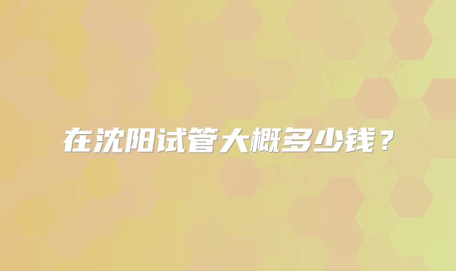 在沈阳试管大概多少钱?