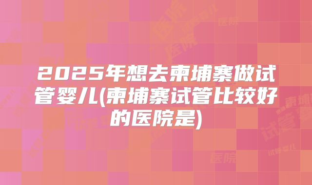 2025年想去柬埔寨做试管婴儿(柬埔寨试管比较好的医院是)