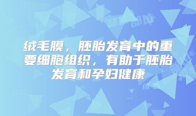绒毛膜,胚胎发育中的重要细胞组织,有助于胚胎发育和孕妇健康