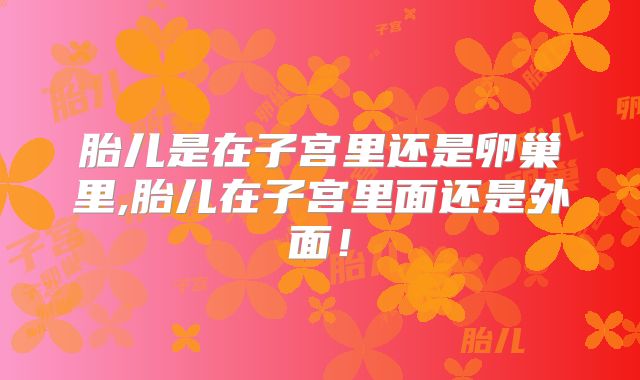胎儿是在子宫里还是卵巢里,胎儿在子宫里面还是外面！