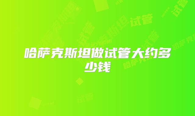 哈萨克斯坦做试管大约多少钱