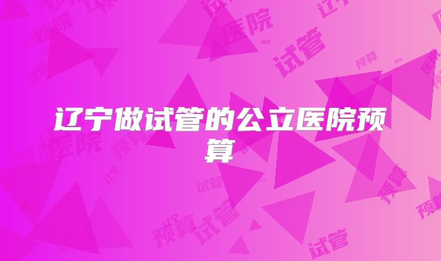 辽宁做试管的公立医院预算