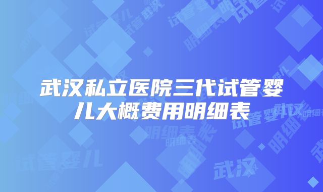 武汉私立医院三代试管婴儿大概费用明细表