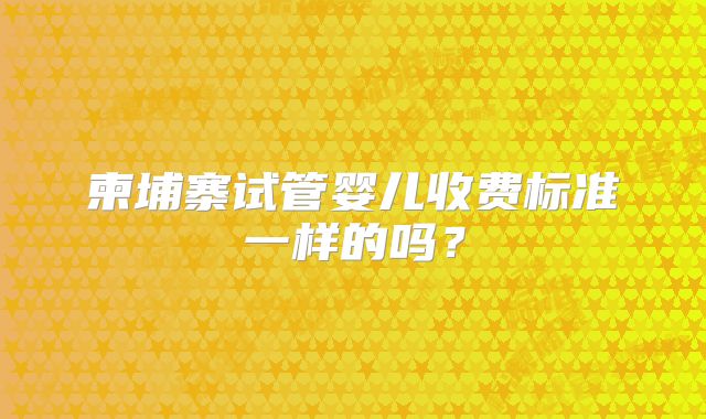 柬埔寨试管婴儿收费标准一样的吗？