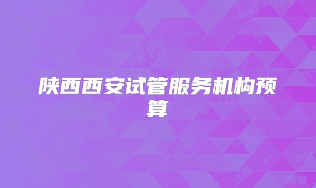 陕西西安试管服务机构预算
